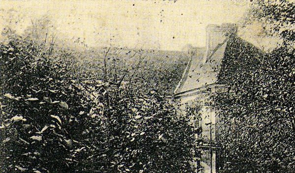 [Rozmiar: 118230 bajtw]